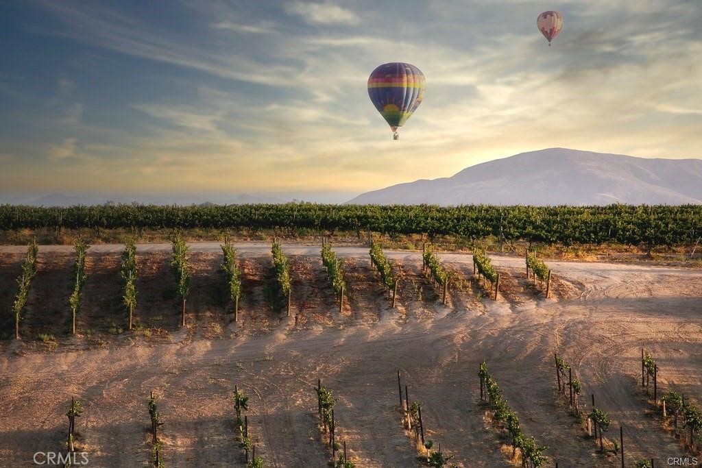 30354 Falcon Point Court