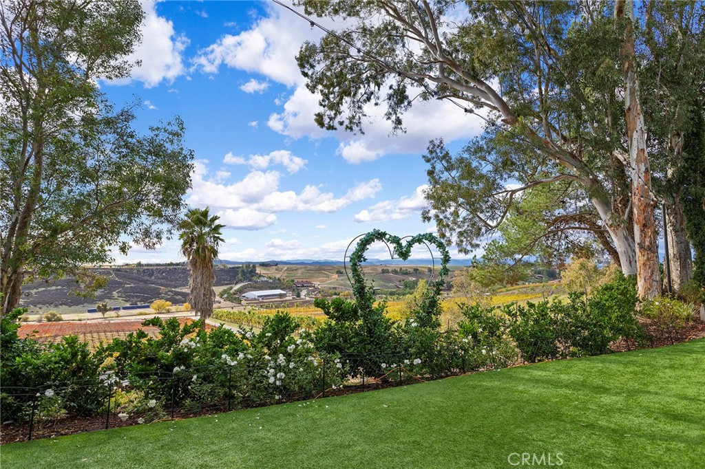 40620 Calle Contento