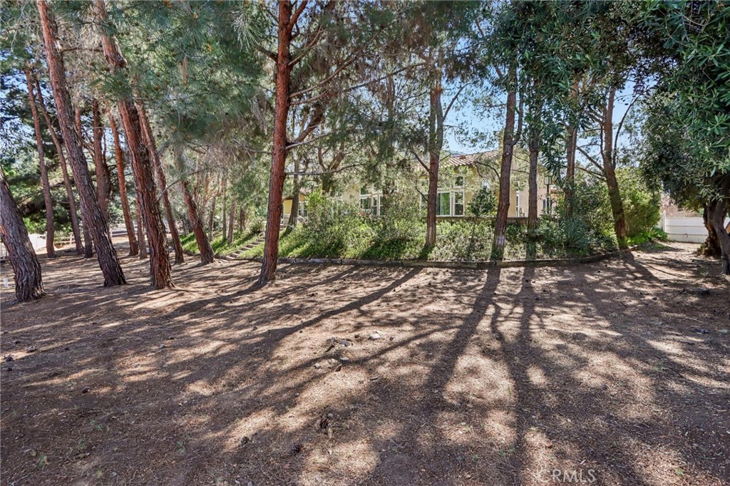 24966 Tyler Place