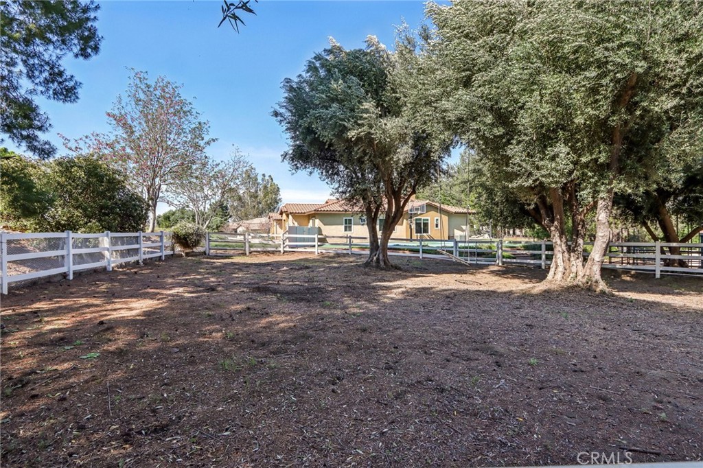 24966 Tyler Place