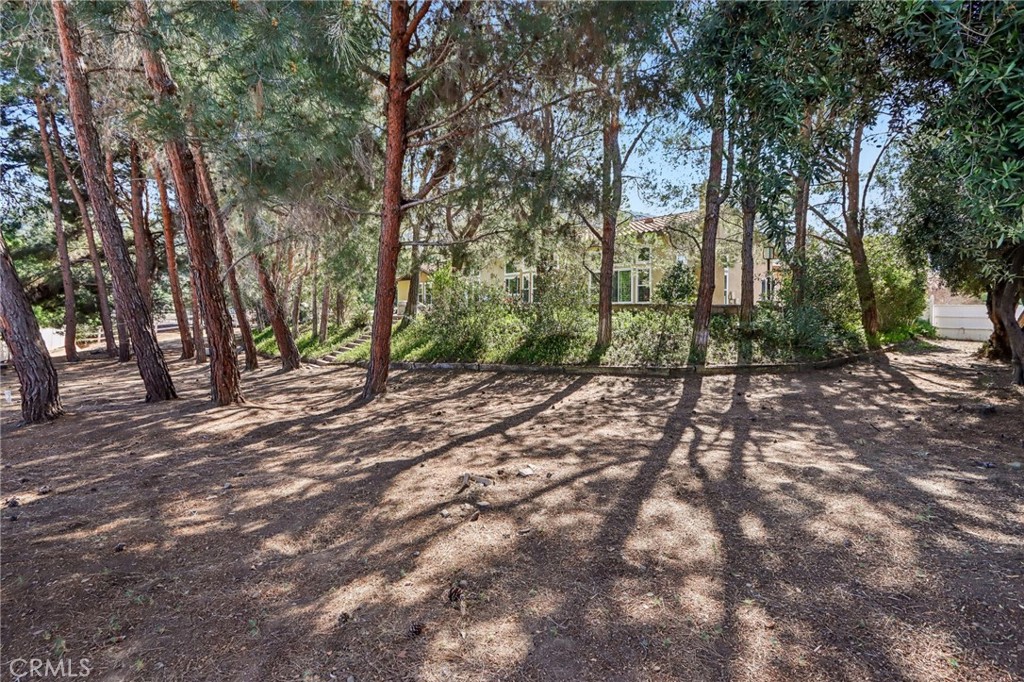 24966 Tyler Place