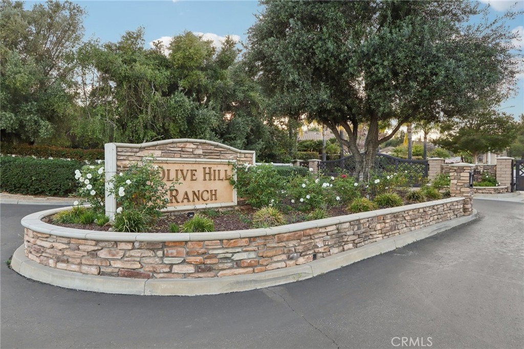 24966 Tyler Place