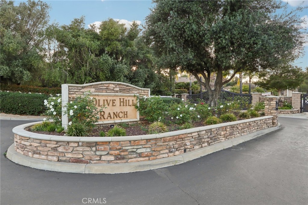 24966 Tyler Place