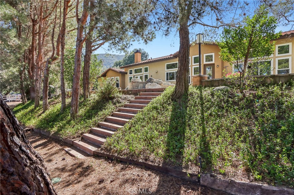 24966 Tyler Place