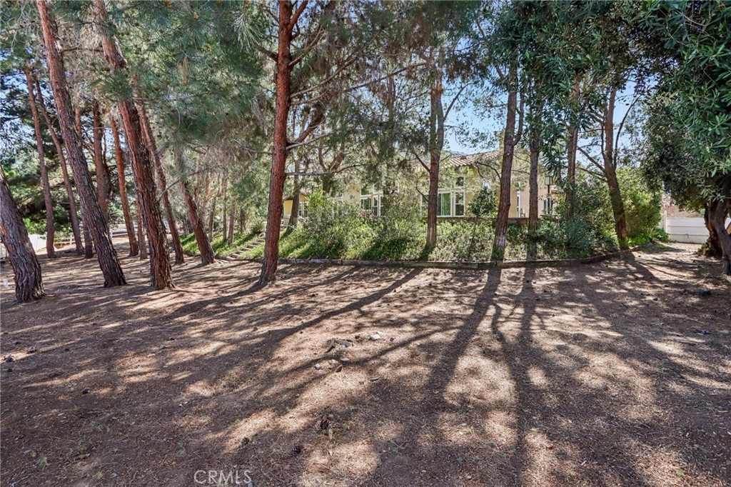 24966 Tyler Place