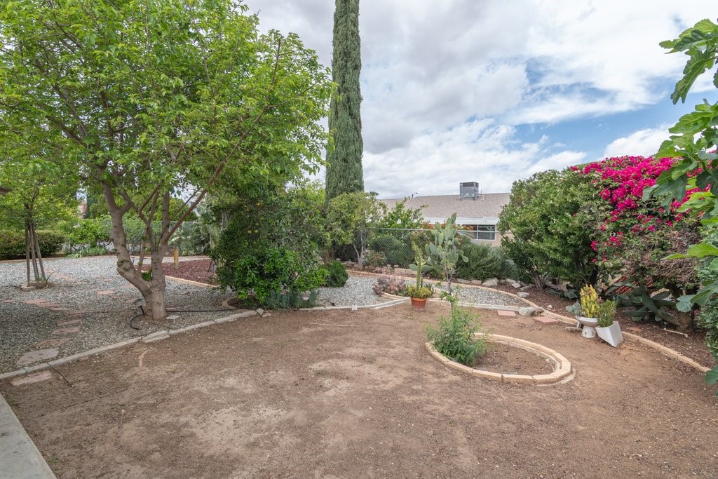 26112 Crestone Drive