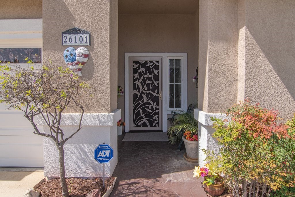 26101 Shady Brook