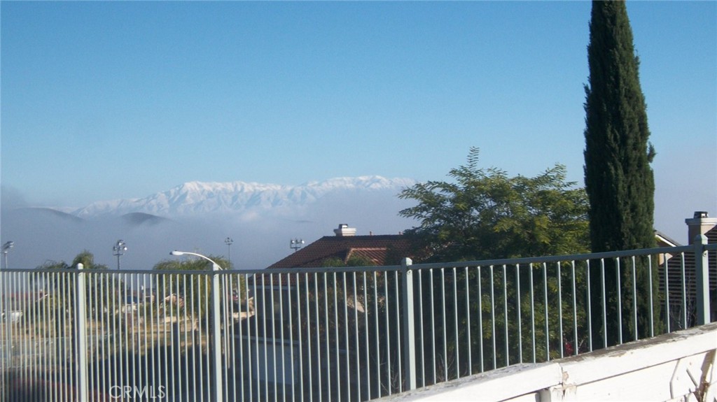 14 Del Brienza