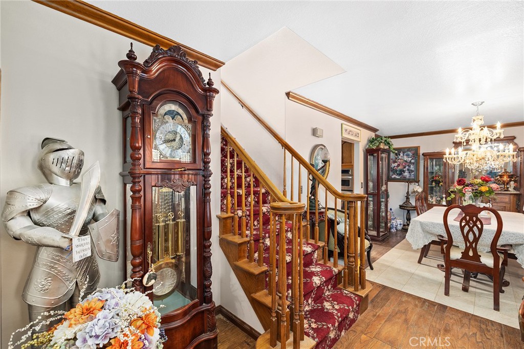 32162 Leslie St.