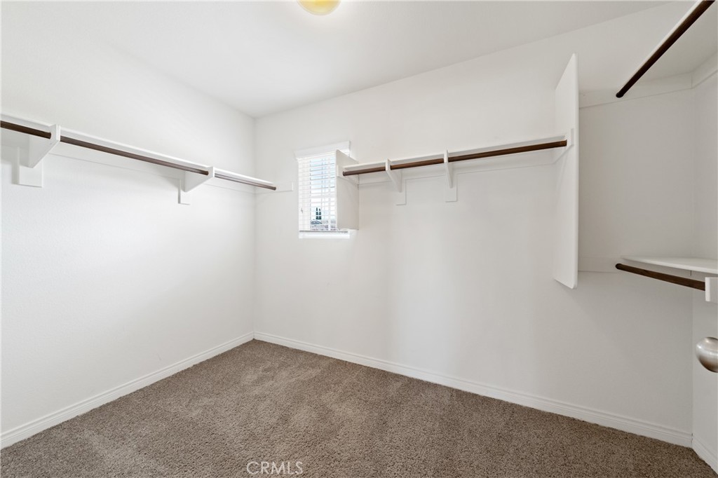 29576 Andromeda Street