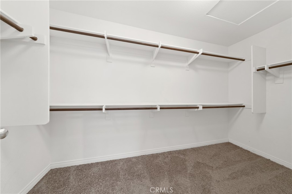 29576 Andromeda Street