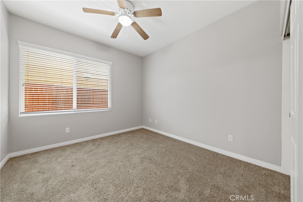 29576 Andromeda Street