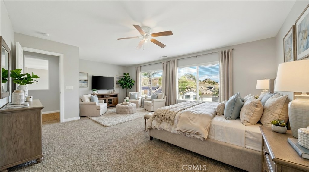 29576 Andromeda Street
