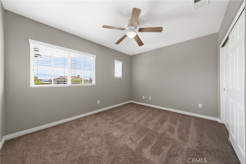 29576 Andromeda Street