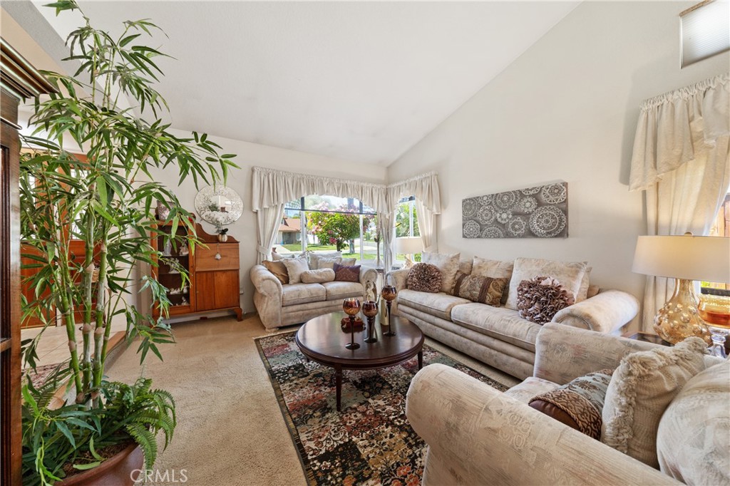 25410 Blackthorne Drive