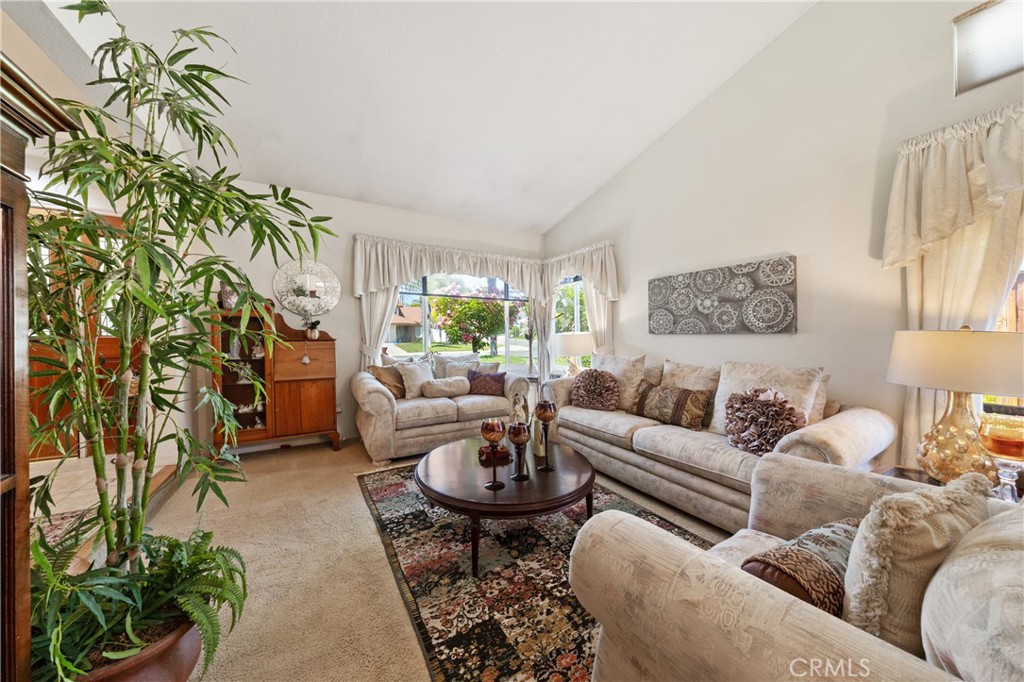 25410 Blackthorne Drive