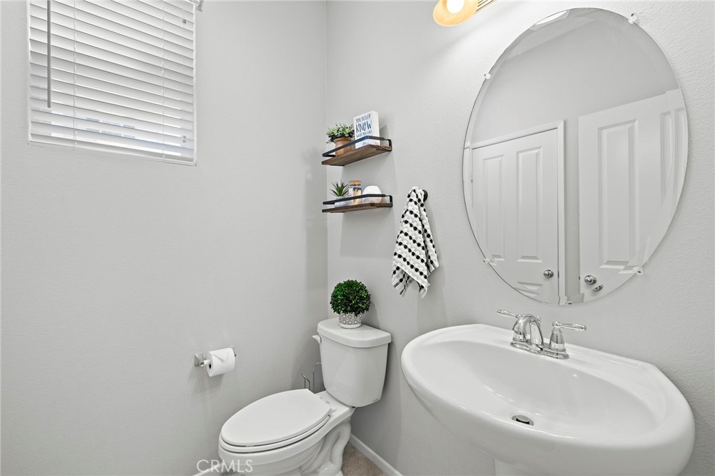 41461 Winterberry