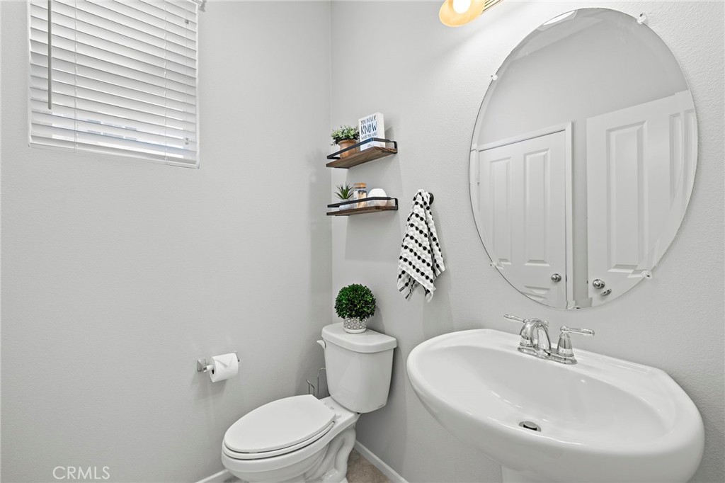 41461 Winterberry