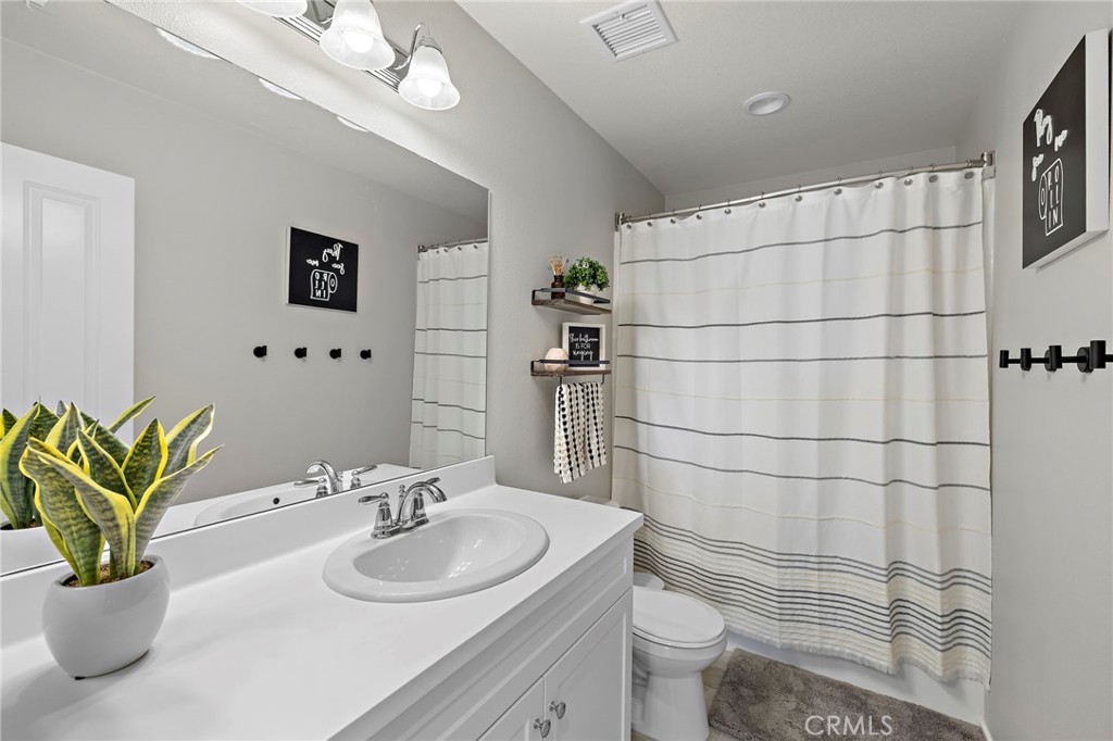 41461 Winterberry