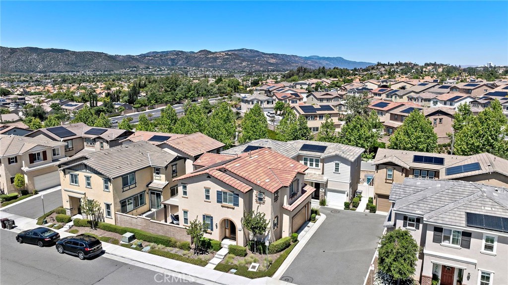 41461 Winterberry