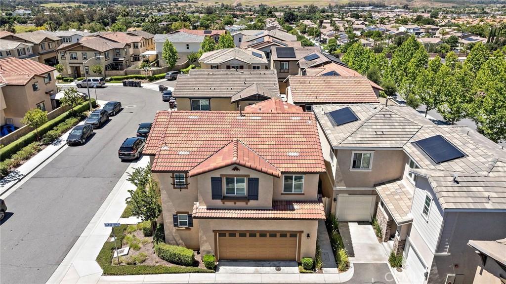 41461 Winterberry