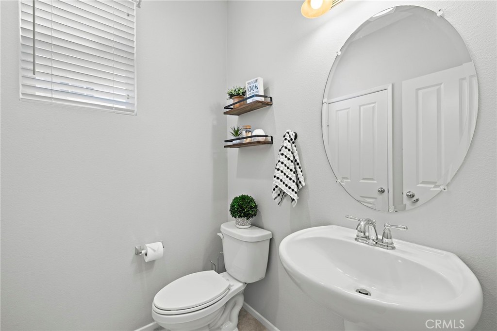 41461 Winterberry