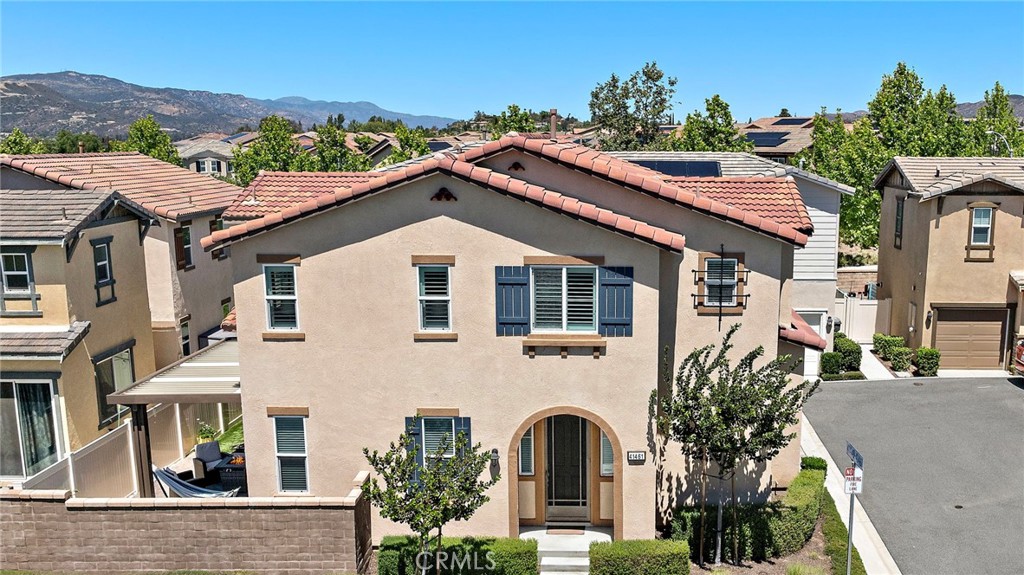 41461 Winterberry