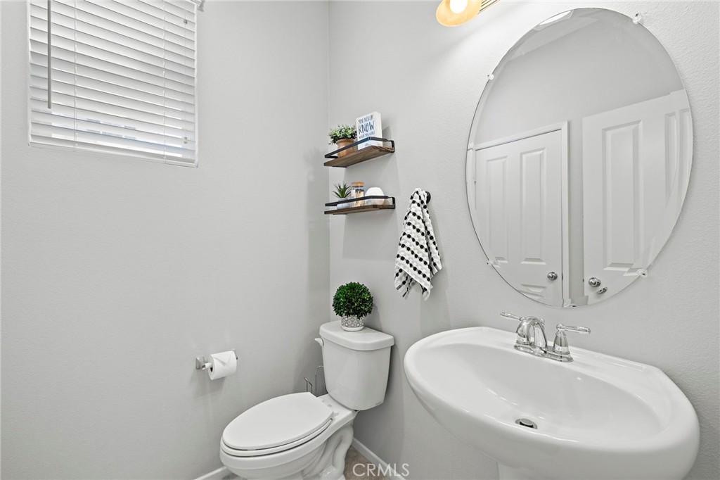 41461 Winterberry