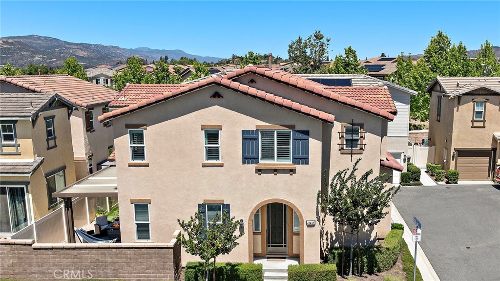 41461 Winterberry