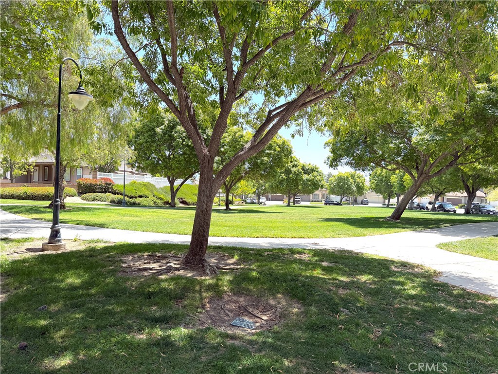 32985 Novara Court