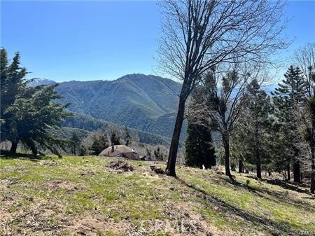 41 Fredalba Road
