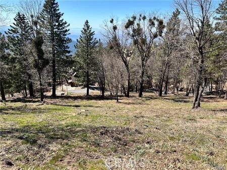 41 Fredalba Road