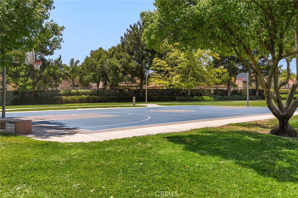43502 Calle Carabana