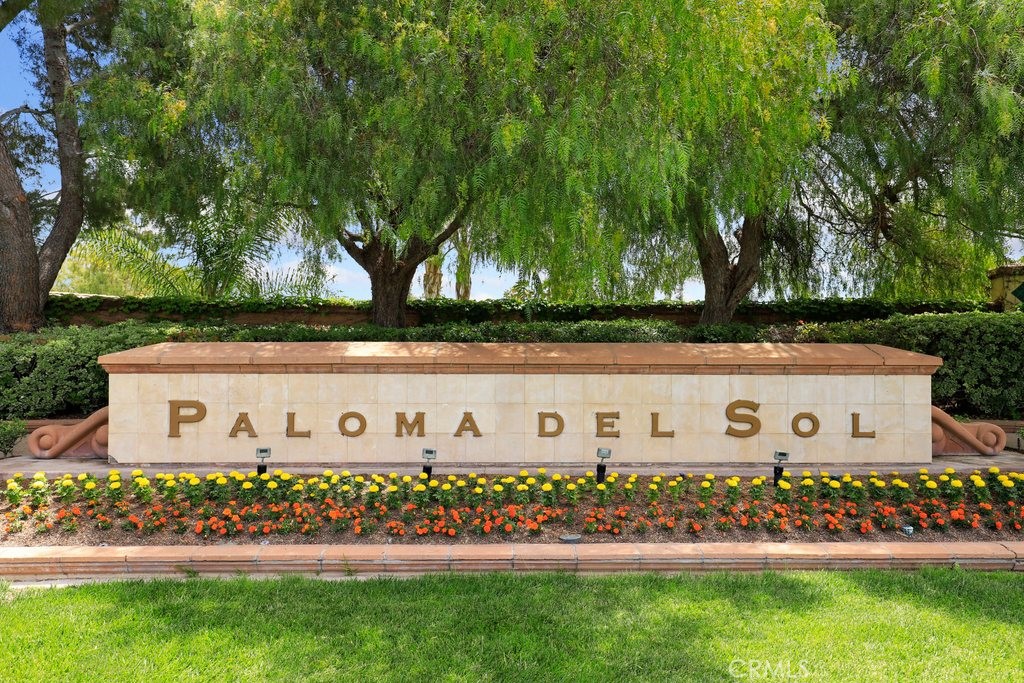 43502 Calle Carabana