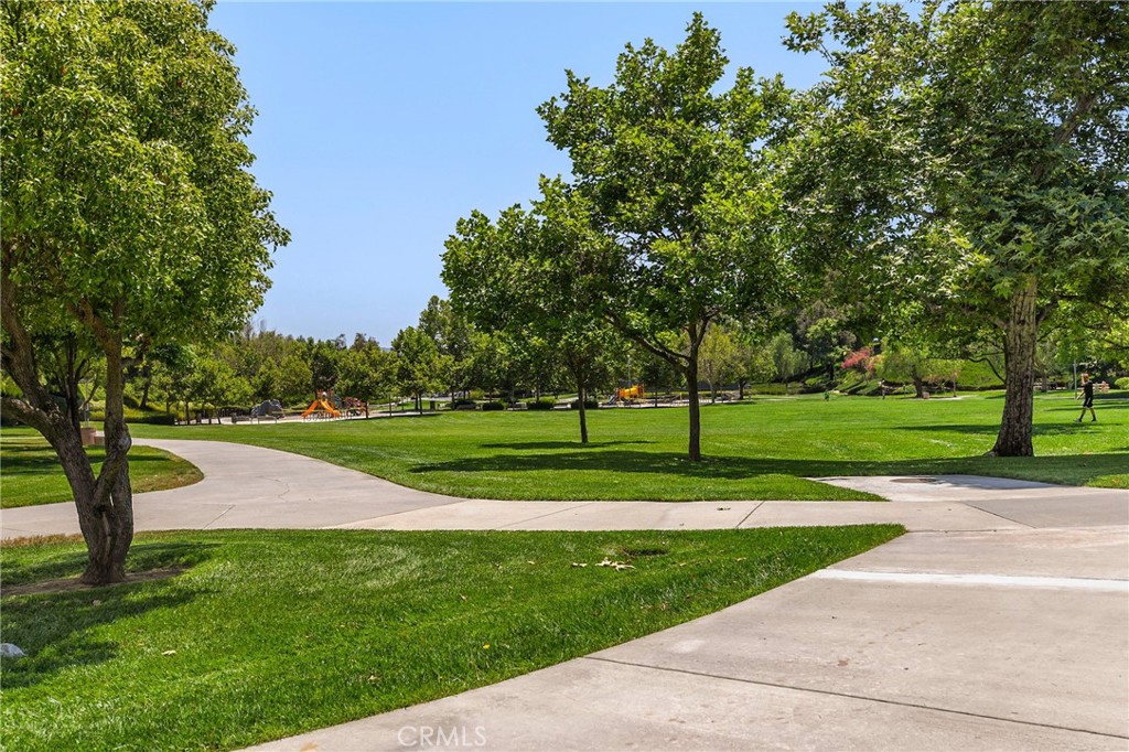 43502 Calle Carabana