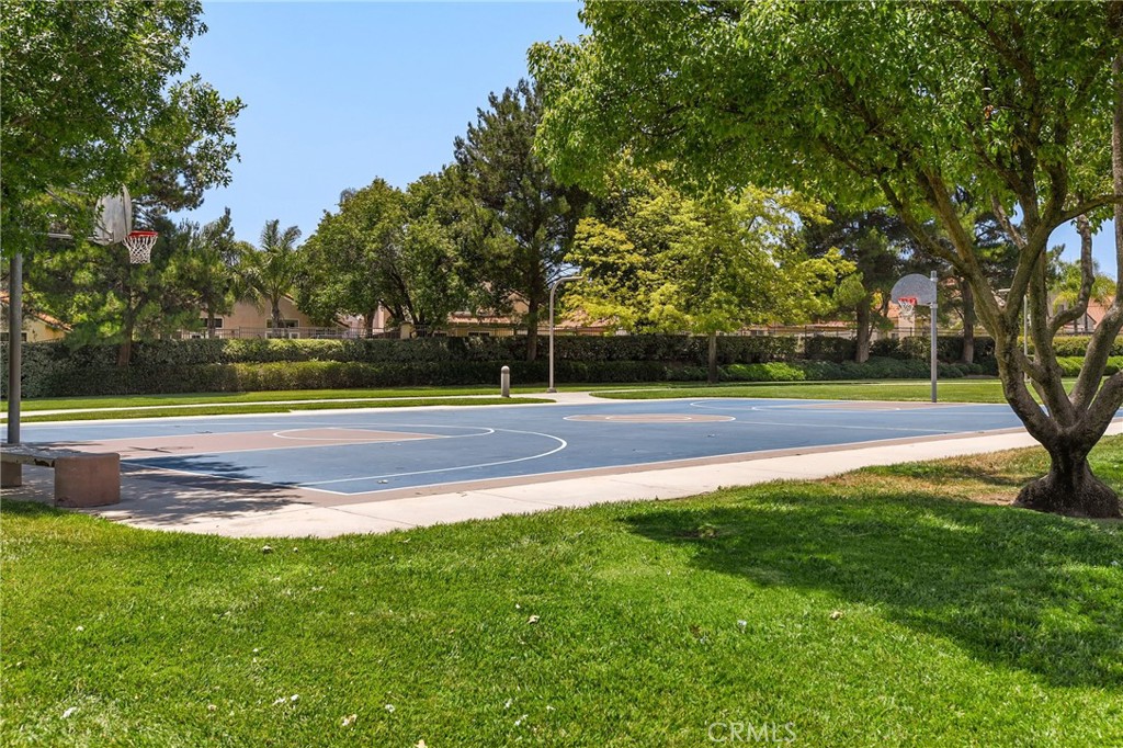 43502 Calle Carabana