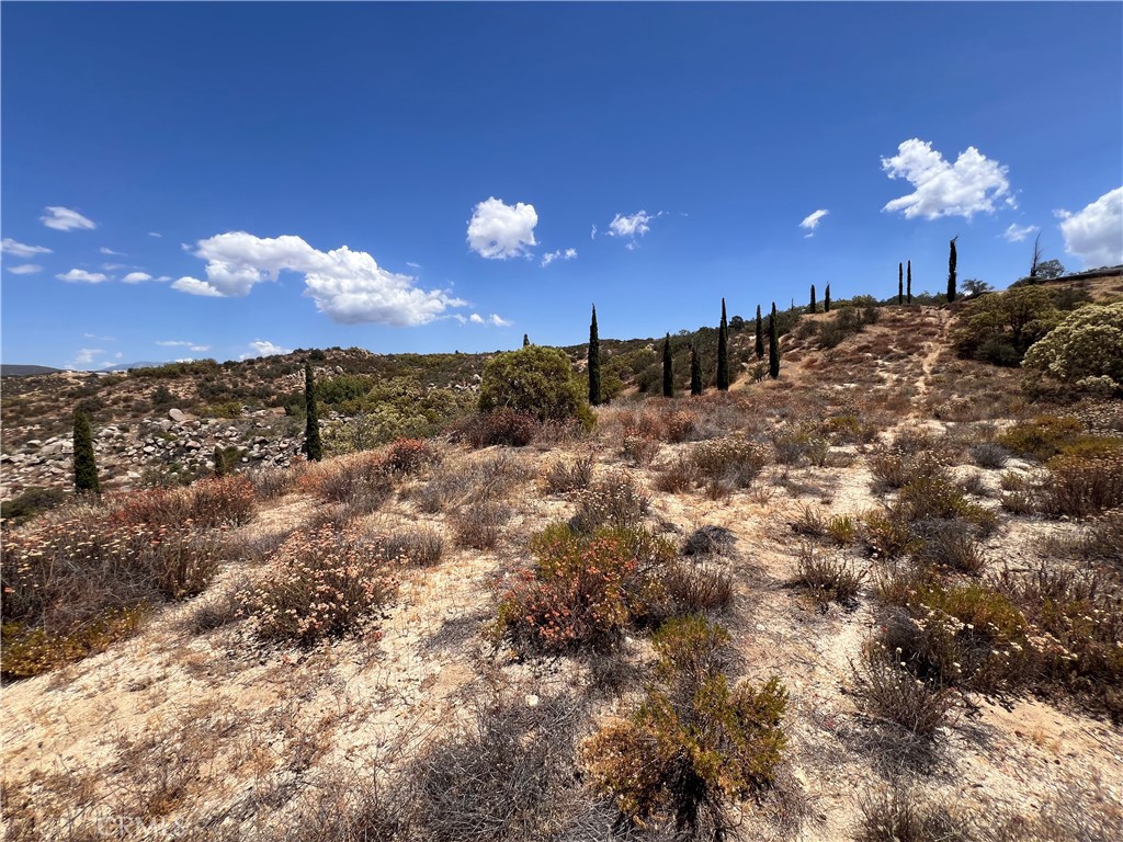 40700 Mountainside