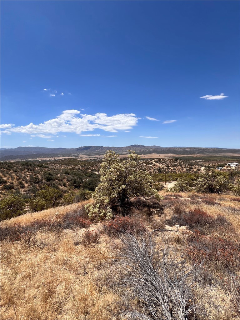 40700 Mountainside
