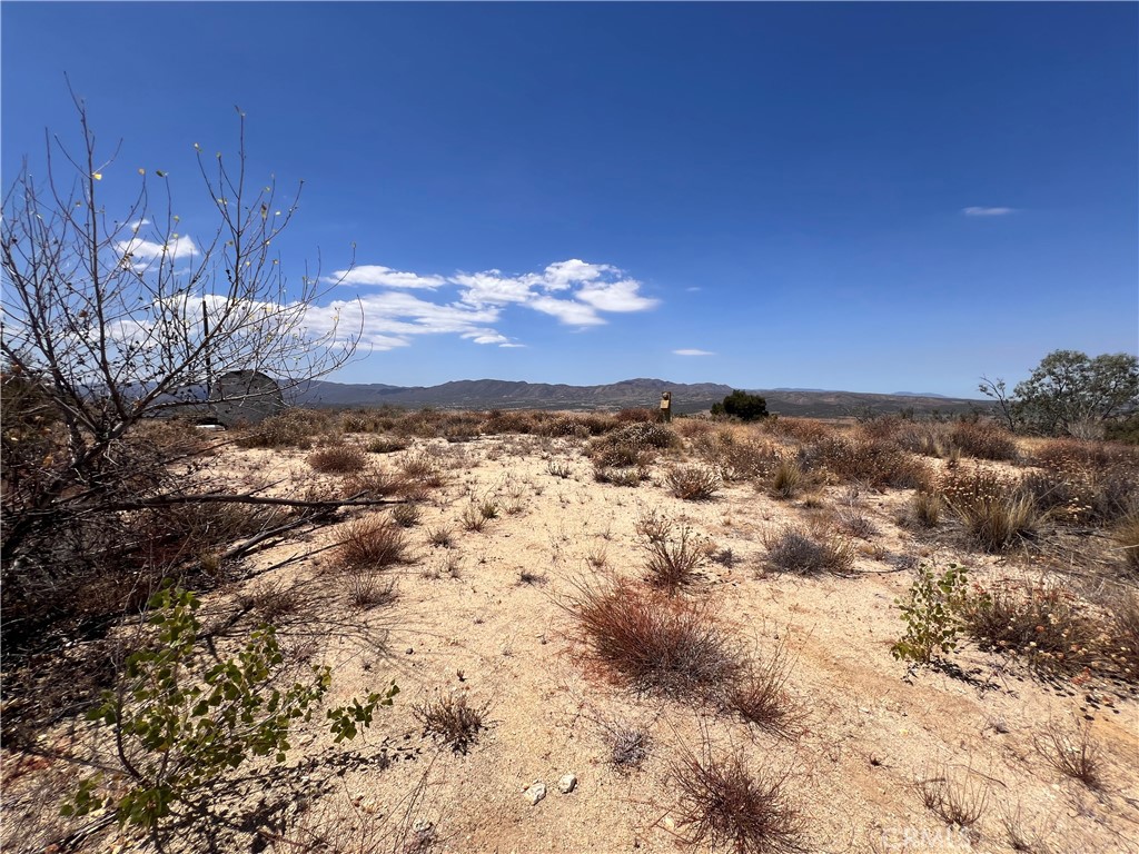 40700 Mountainside