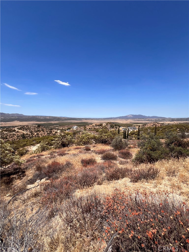 40700 Mountainside