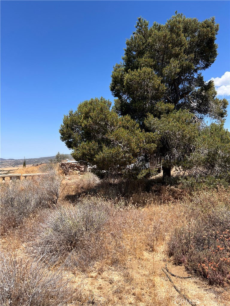 40700 Mountainside