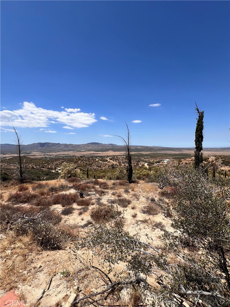 40700 Mountainside