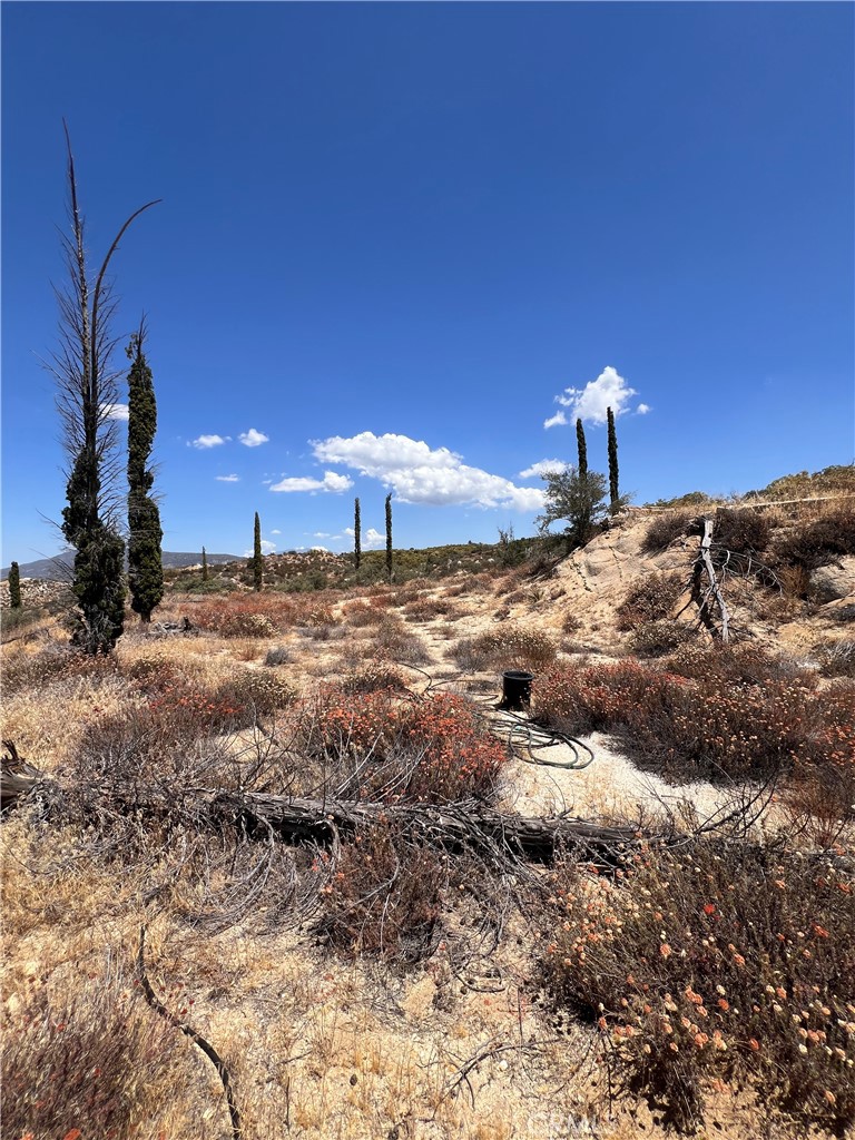 40700 Mountainside