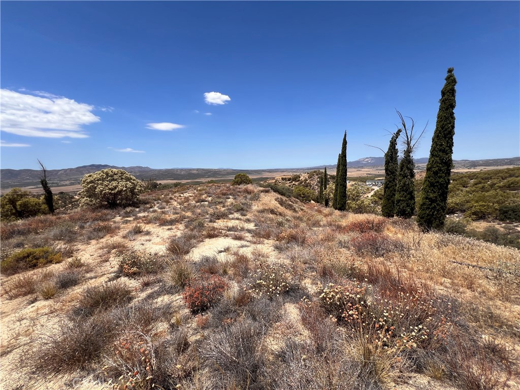 40700 Mountainside
