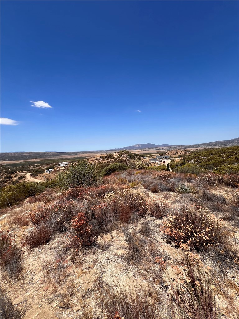 40700 Mountainside