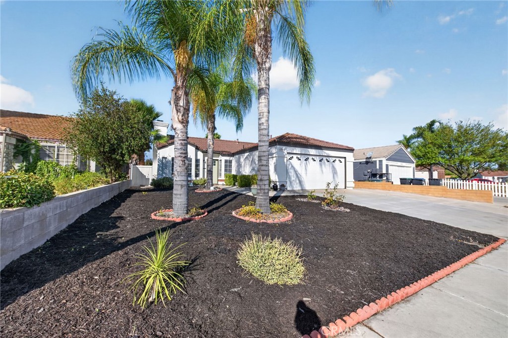 24663 Morningstar