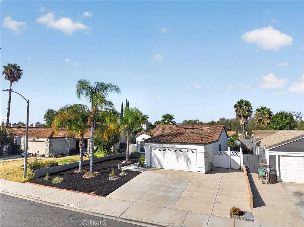 24663 Morningstar