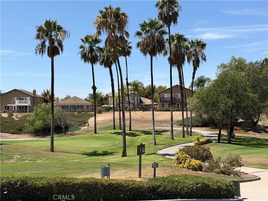 31166 Sunningdale Drive