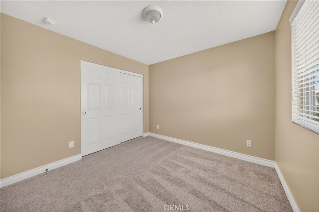 37183 Ascella Lane