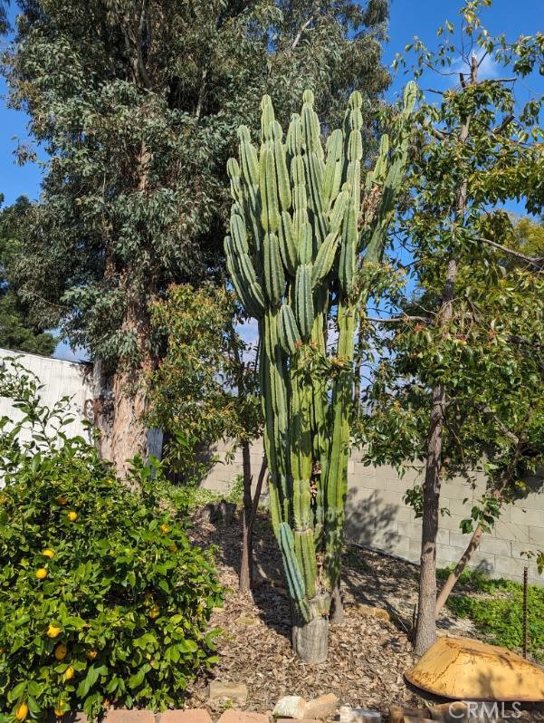 1406 N Arroyo Boulevard